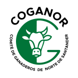 Descripción de la imagen