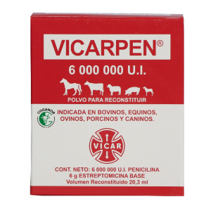 VICARPEN 6 UI